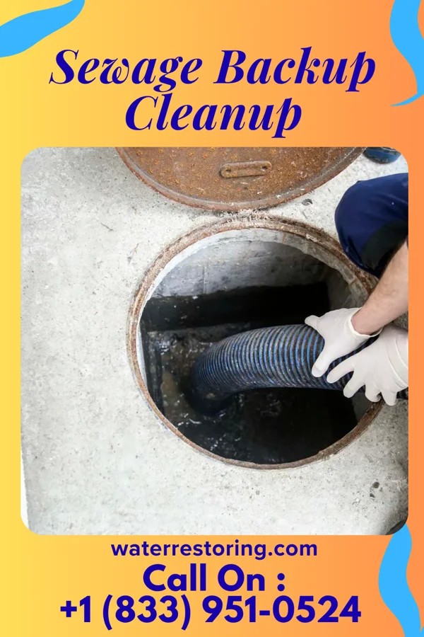 Sewage Backup Cleanup in Essex, IA